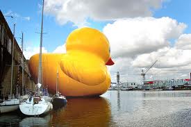 Going Quackers!!!….Gone!!